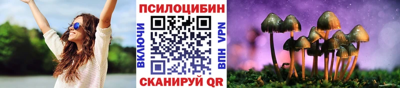 Псилоцибиновые грибы Psilocybe  цены   Тутаев 