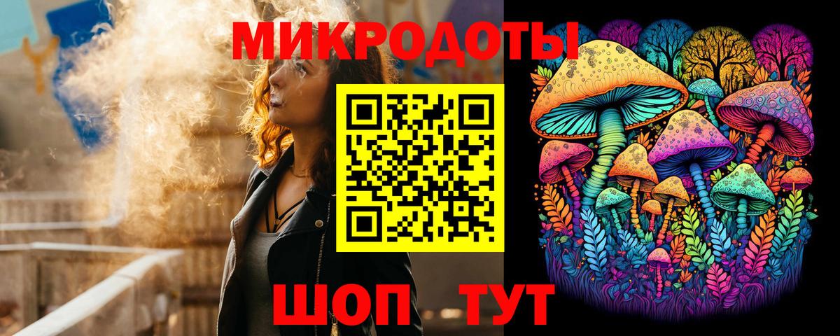 Псилоцибиновые грибы Psilocybe Тутаев